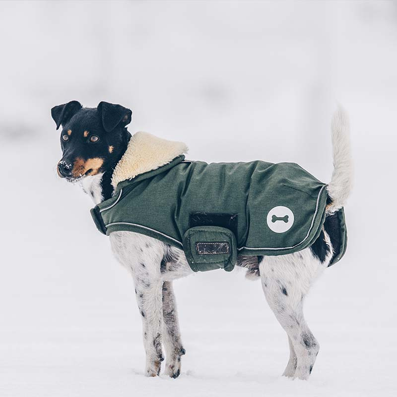Couverture pour chien Waterproof 300g Vert olive 
