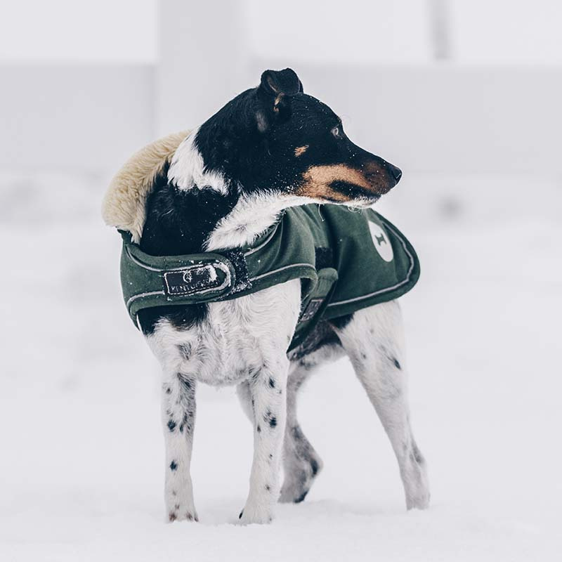 Couverture pour chien Waterproof 300g Vert olive 