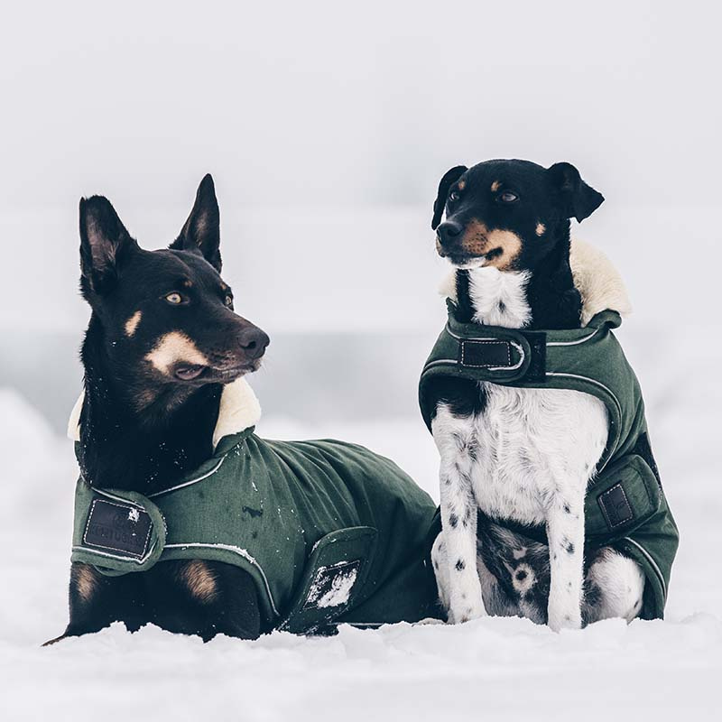 Couverture pour chien Waterproof 300g Vert olive 