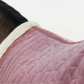 Couverture de compétition Velvet Rose Couverture de compétition Velvet Rose