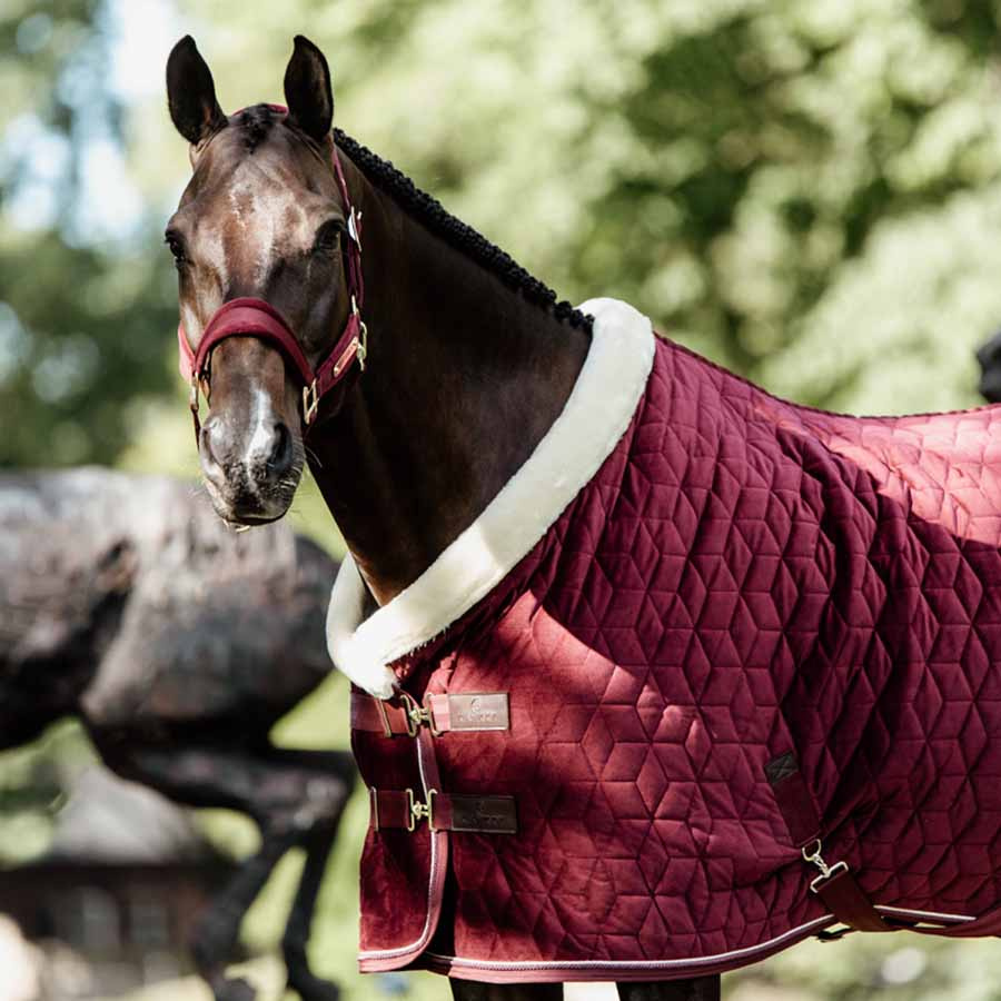 Couverture de compétition en velours Bordeaux