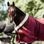 Couverture de compétition en velours Bordeaux Couverture de compétition en velours Bordeaux