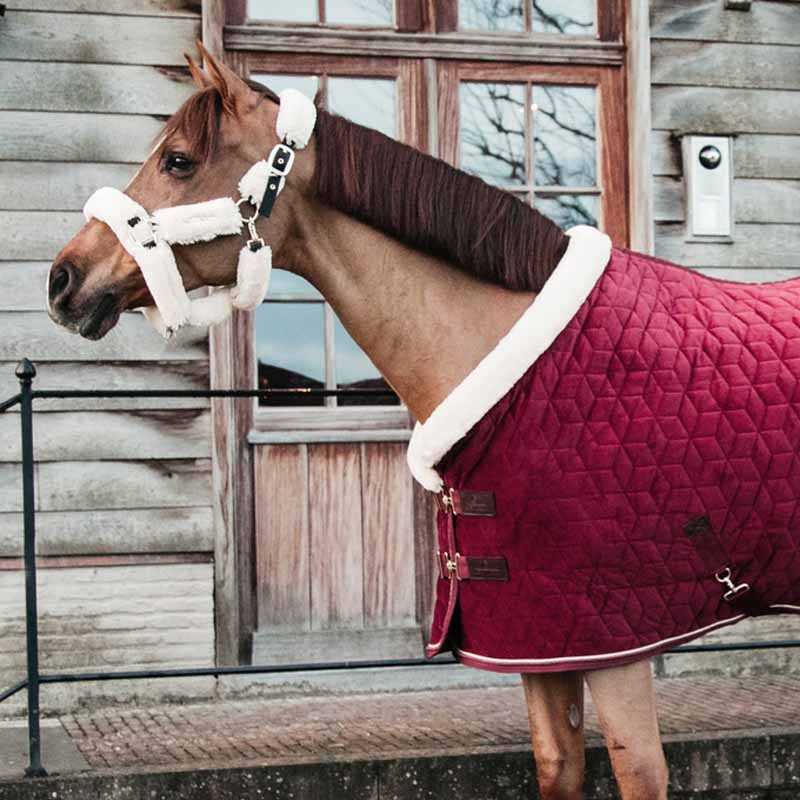 Couverture de compétition en velours Bordeaux