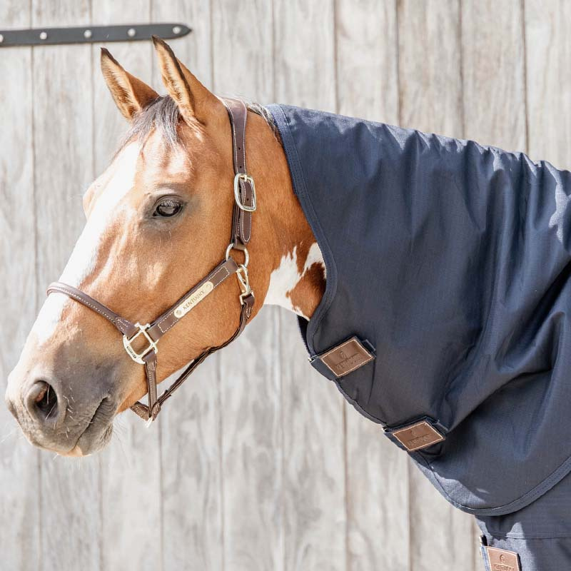 Couverture extérieure avec cou All Weather Quick Dry Fleece 0g Bleu Marine