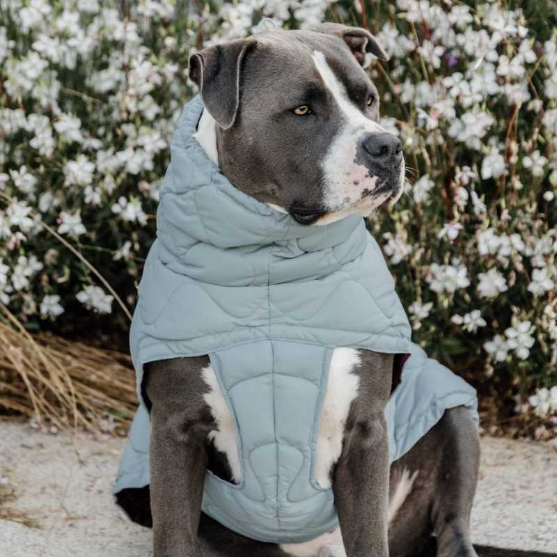 Manteau pour chien Winter Pina 160g Bleu