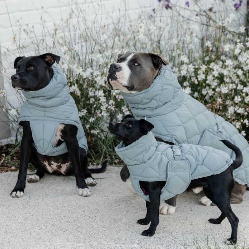 Manteau pour chien Winter Pina 160g Bleu