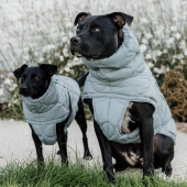 Manteau pour chien Winter Pina 160g Bleu Manteau pour chien Winter Pina 160g Bleu