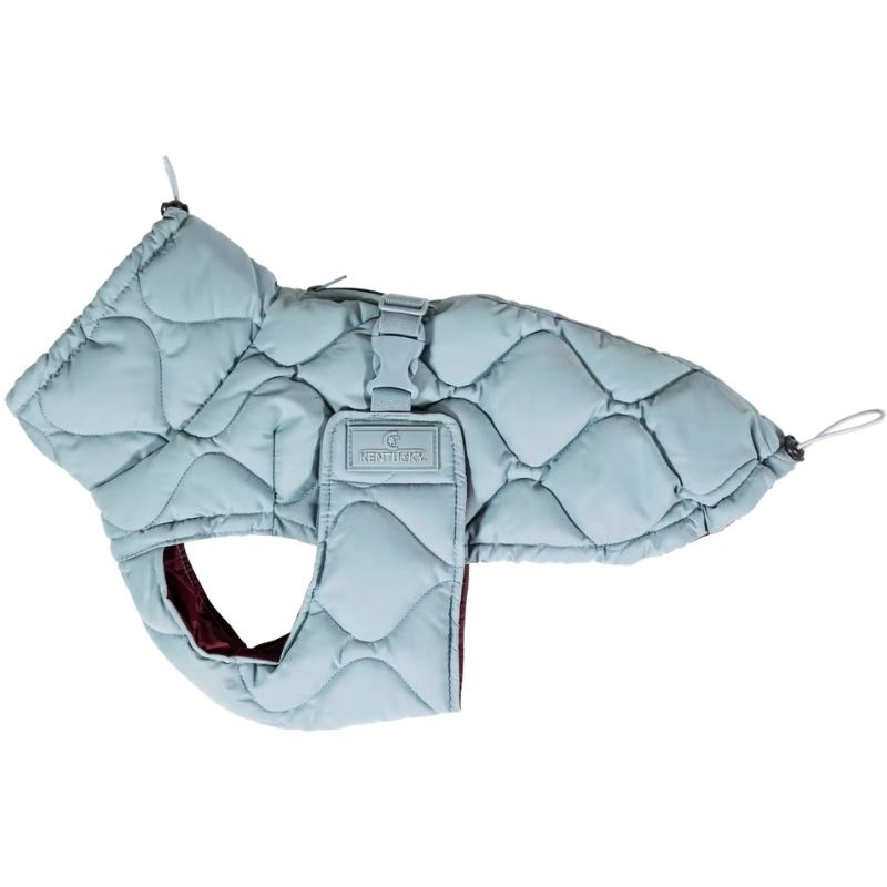 Manteau pour chien Winter Pina 160g Bleu