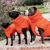 Manteau pour chien Winter Pina 160g Orange Manteau pour chien Winter Pina 160g Orange