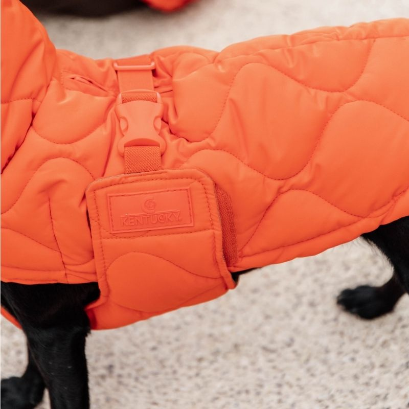Manteau pour chien Winter Pina 160g Orange
