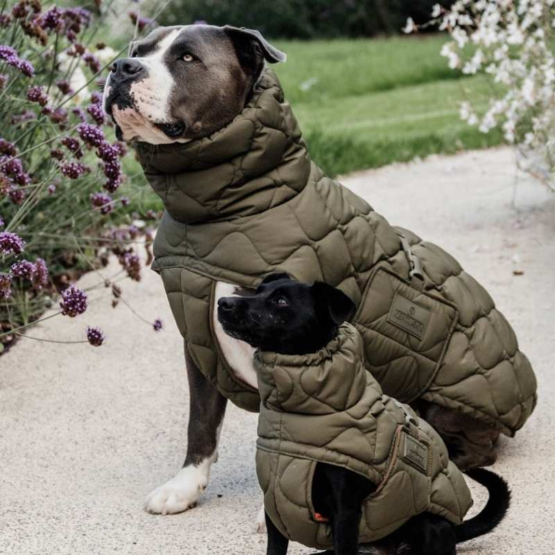 Manteau pour chien Winter Pina 160g Vert