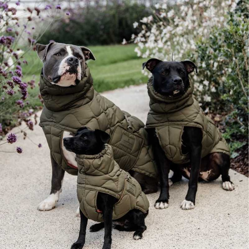 Manteau pour chien Winter Pina 160g Vert