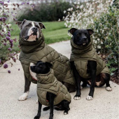 Manteau pour chien Winter Pina 160g Vert Manteau pour chien Winter Pina 160g Vert