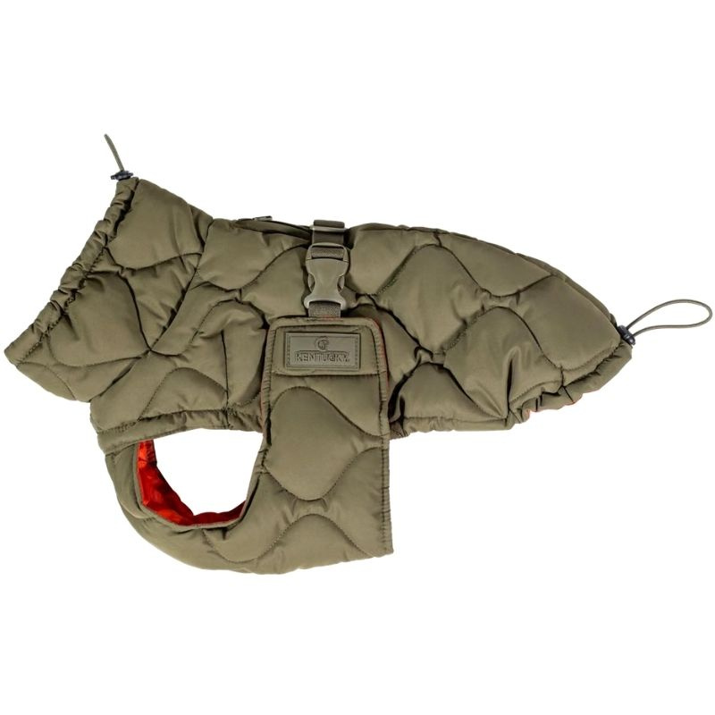 Manteau pour chien Winter Pina 160g Vert