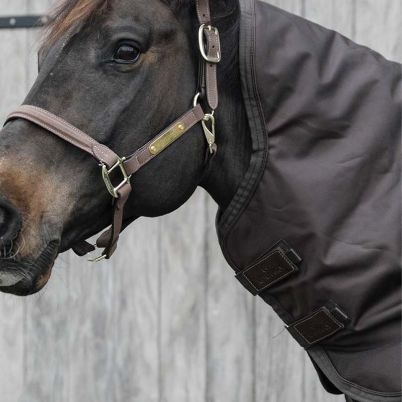 Couvre-encolures All Weather Pro 150g Marron