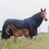 Couvre-cou All Weather Waterproof Comfort 0g Bleu Marine Couvre-cou All Weather Waterproof Comfort 0g Bleu Marine