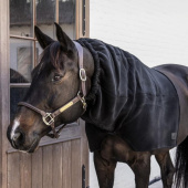 Col en polaire Heavy Noir Col en polaire Heavy Noir