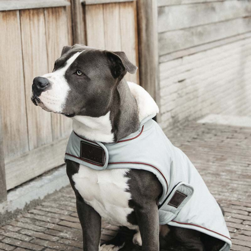 Couverture pour chien imperméable 160g Bleu