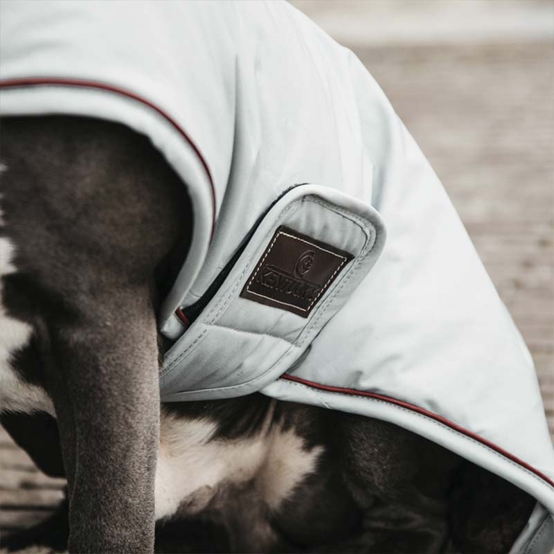 Couverture pour chien imperméable 160g Bleu