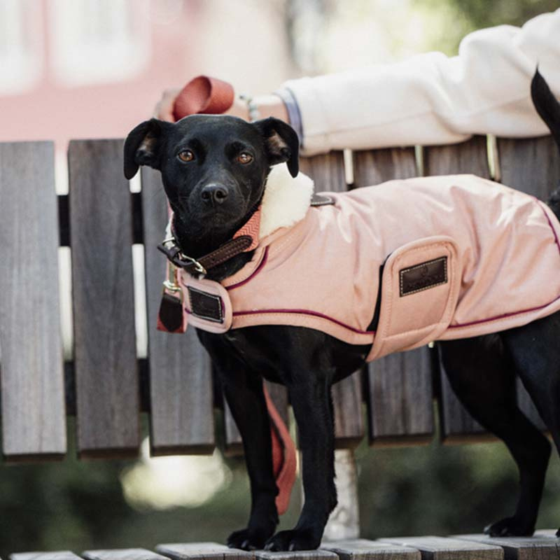 Couverture pour chien Waterproof 160g Corail 