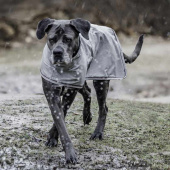 Manteau de pluie pour chien 0g Gris Manteau de pluie pour chien 0g Gris