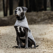 Manteau de pluie pour chien 0g Gris Manteau de pluie pour chien 0g Gris