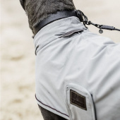 Manteau de pluie pour chien 0g Gris Manteau de pluie pour chien 0g Gris