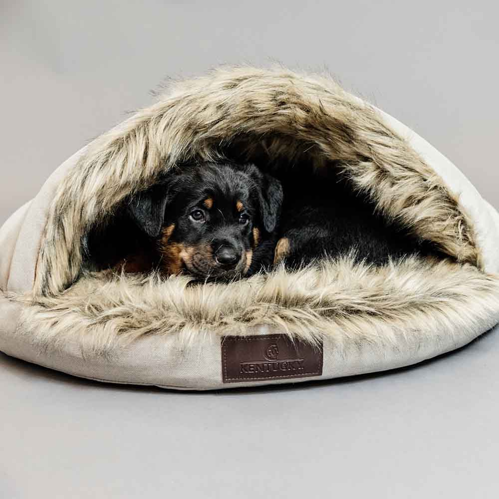 Panier pour chien Igloo Beige