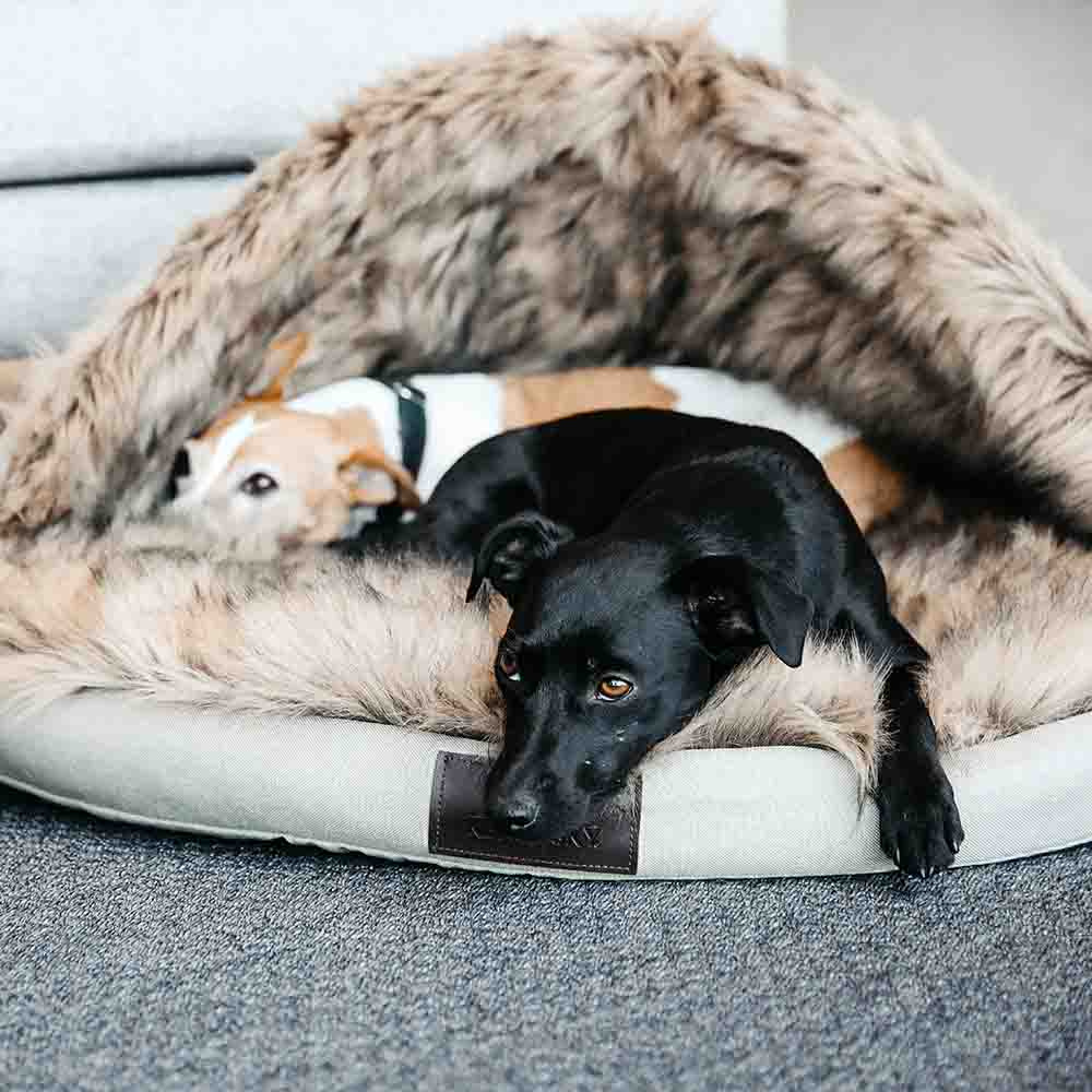 Panier pour chien Igloo Beige
