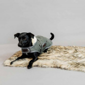Couverture pour chien Fuzzy Blanket Beige