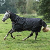 Couverture imperméable avec cou Irish Turnout 50g Noir/Or Couverture imperméable avec cou Irish Turnout 50g Noir/Or