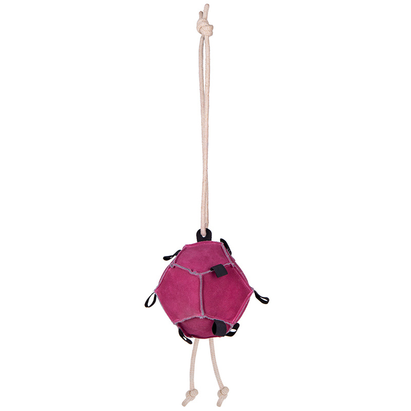 Jouet pour chevaux Balle Loop en Daim Rose