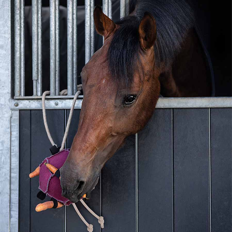 Jouet pour chevaux Balle Loop en Daim Rose