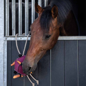 Jouet pour chevaux Balle Loop en Daim Rose Jouet pour chevaux Balle Loop en Daim Rose