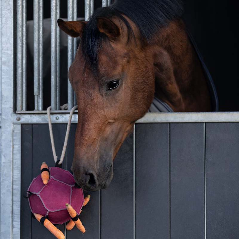 Jouet pour chevaux Balle Loop en Daim Rose