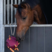 Jouet pour chevaux Balle Loop en Daim Rose Jouet pour chevaux Balle Loop en Daim Rose