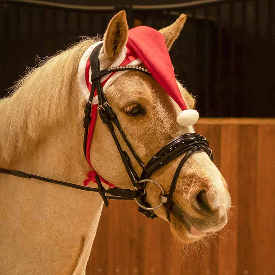Bonnet Christmas Hat Rouge/Blanc