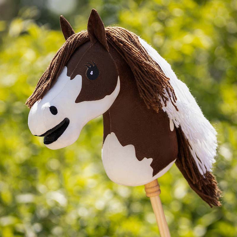 Cheval-bâton Pie
