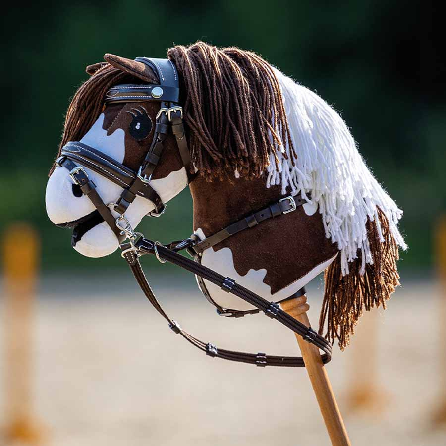 Cheval-bâton Pie
