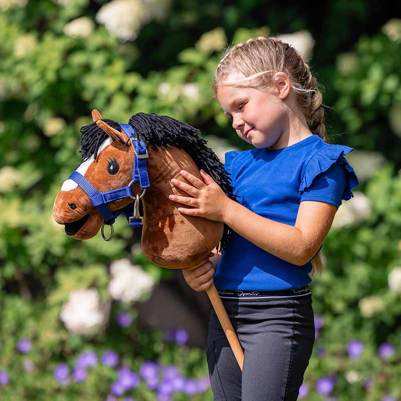 Cheval-bâton Marron