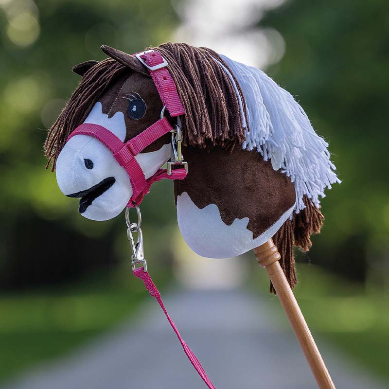 Licol et Longe pour Cheval-bâton Rose