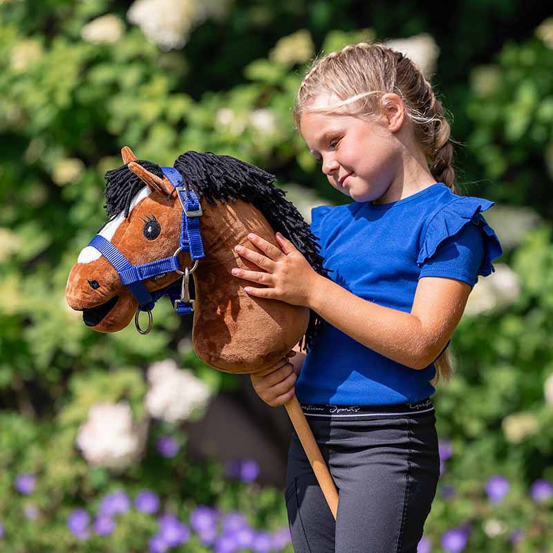 Licol et Longe pour Cheval-bâton Bleu
