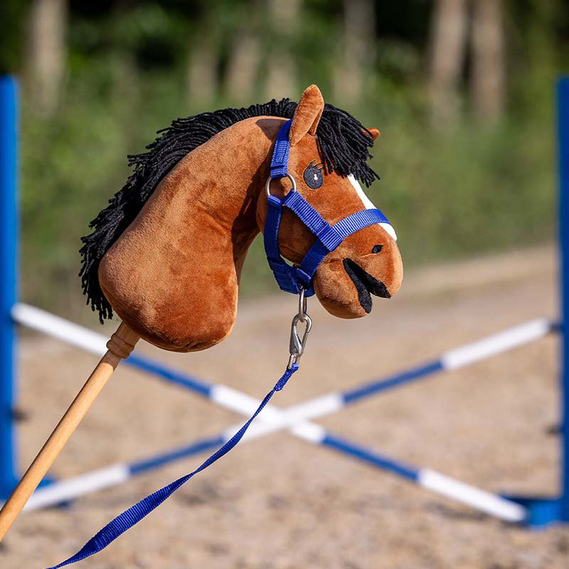 Licol et Longe pour Cheval-bâton Bleu