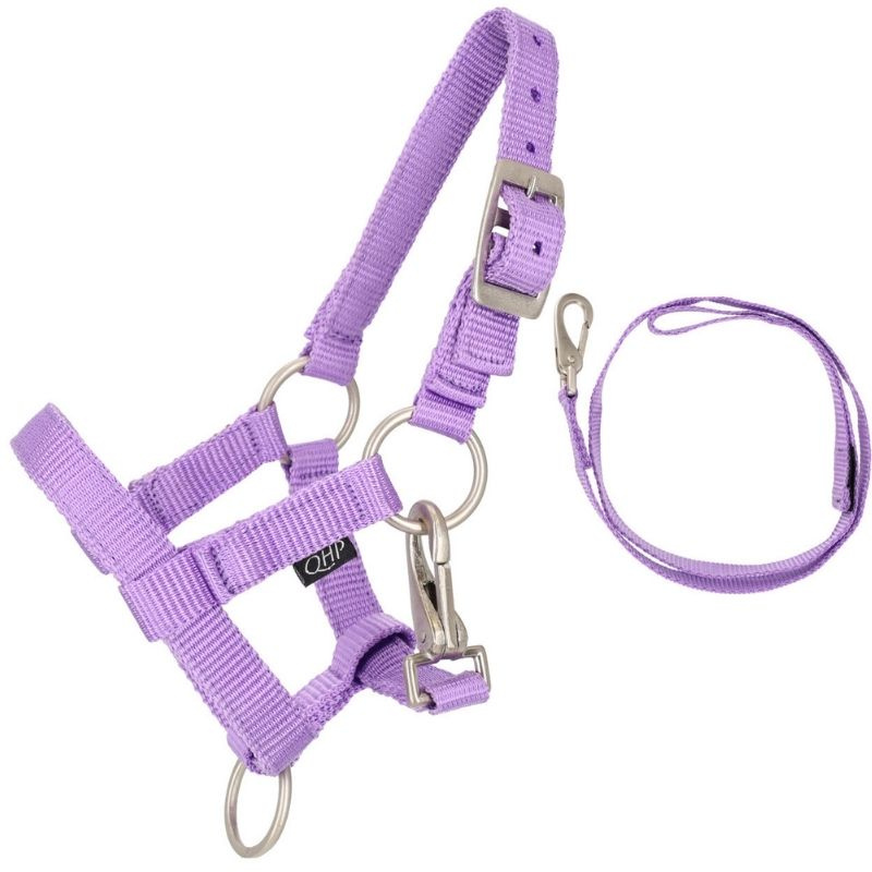 Licol et longe d'attache pour cheval-bâton Violet