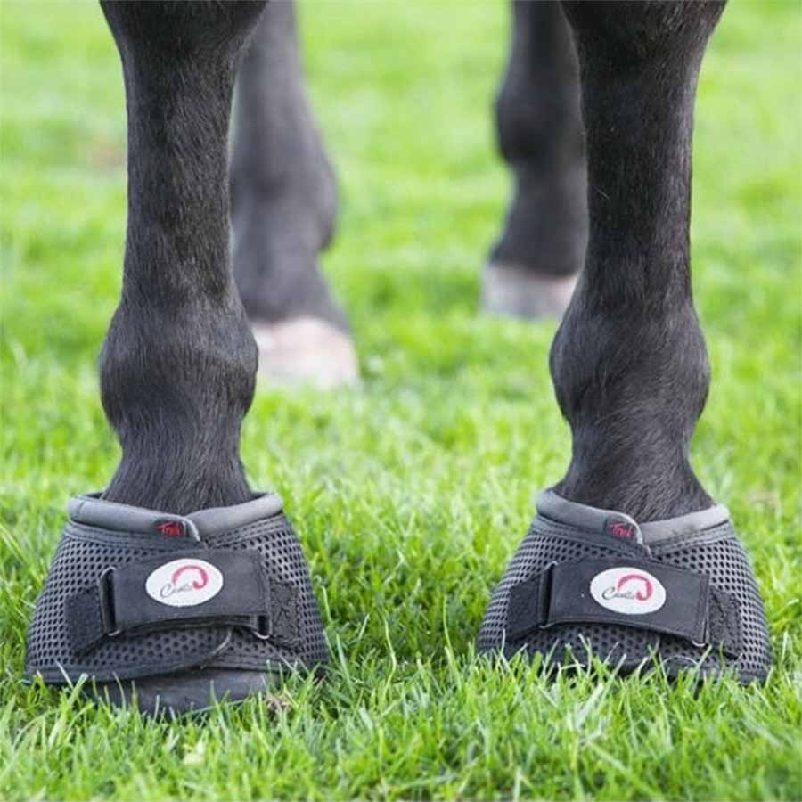 Hipposandales Trek Slim 2-pack Noir
