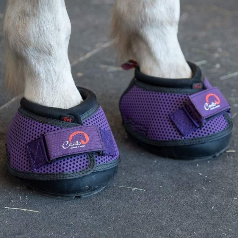 Hipposandales Trek Slim 2-pack Violet