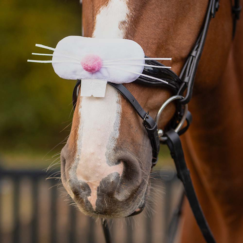 Accessoire Muserolle Easter Bunny Blanc