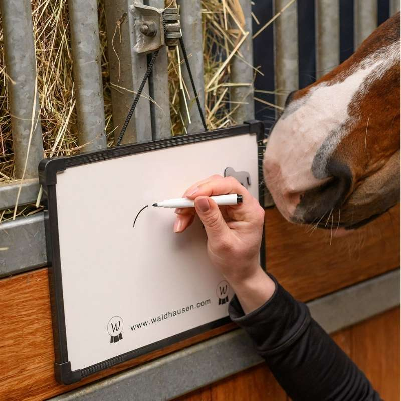 Tableau d'écurie Magnetic MemoBoard Blanc