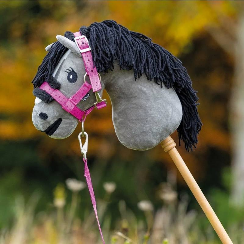 Licol et Longe pour Cheval-bâton Isalyn Rose