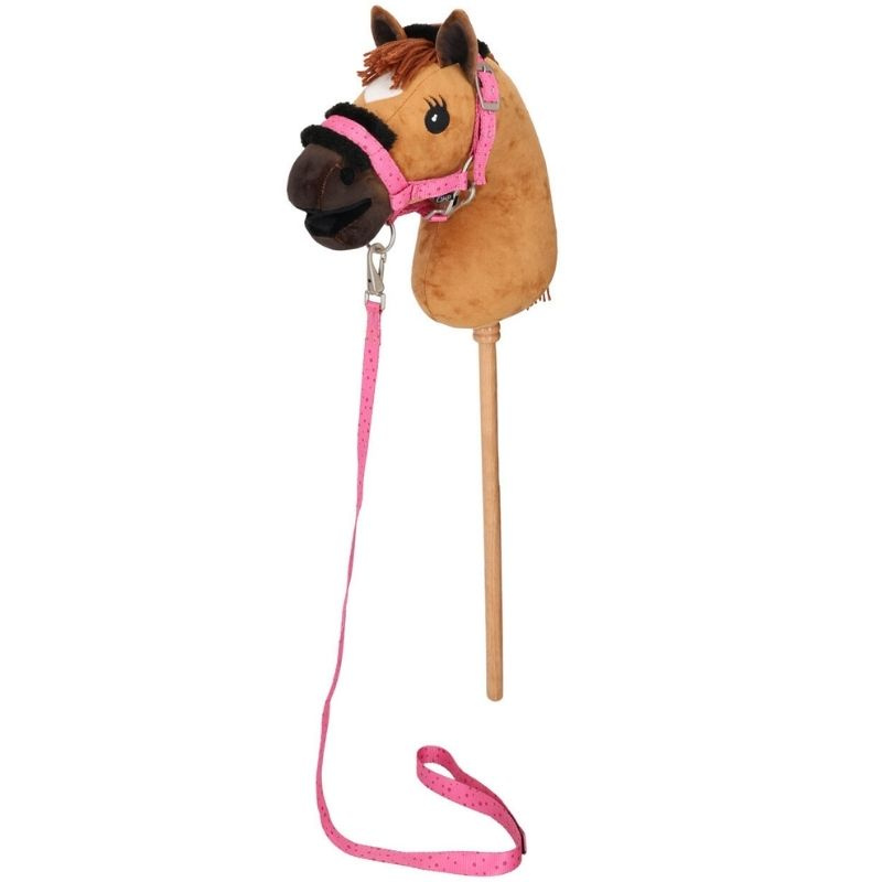 Licol et Longe pour Cheval-bâton Isalyn Rose